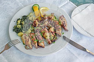 Balkan cuisine. Dish with grilled squids
