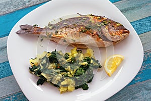 Balkan cuisine. Grilled fish sea bream with green leafy vegetables on white plate