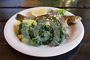 Balkan cuisine. Grilled fish  trout   with leafy green vegetables on white plate