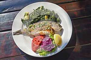 Balkan cuisine. Grilled fish with vegetables on white plate. Dark rustic background, flat lay