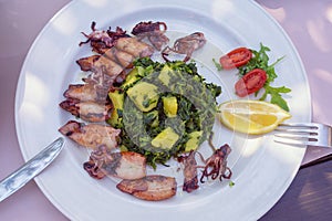 Balkan cuisine. Grilled squids with vegetables