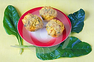 Balkan cuisine. Proja - bread from corn and chard - with chard leaves blitva