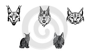 Balkan Lynx illustration icon art