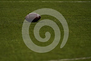 Ball for american football on green grass