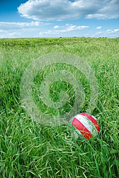 Ball in grass at picnic