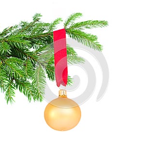 Ball hanging on fir tree