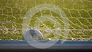 The ball lies in the football goal, soccer championship
