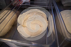 Ball of raw uncooked swiss zopf bread dough rising in a plastic container