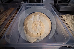 Ball of raw uncooked swiss zopf bread dough rising in a plastic container