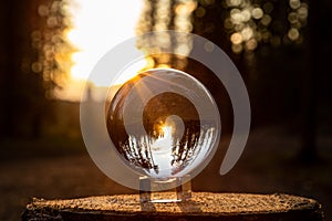 Ball reflecting the sunlight on wood