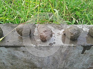 ball-shaped clay lined up on the sewer divider