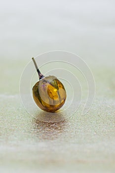 Ball shaped crystal made of epoxy resin with rose