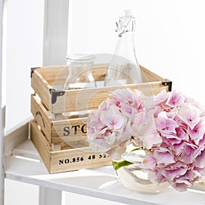 Ball-shaped pink hydrangea in a round glass vase for a greeting card on a white background