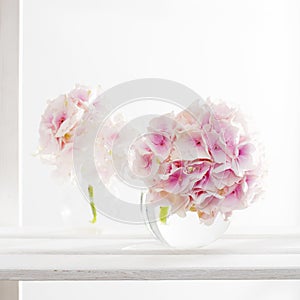 Ball-shaped pink hydrangea in a round glass vase for a greeting card on a white background