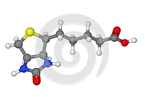 Ball and stick model of biotin molecule