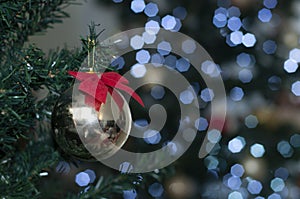 ball on the tree with space to write Christmas message