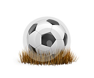 Ball on the withered grass