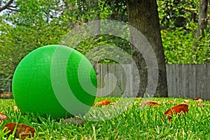 Ball in Yard