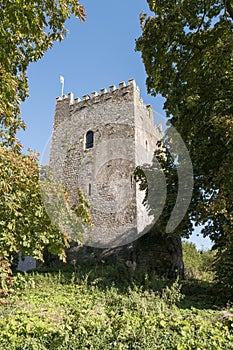 Ballaghmore Castle