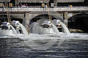 Ballard Locks, Seattle, USA