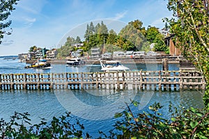 Ballard Locks Traffic