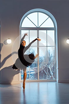ballerina in black leotard and tutu skirt