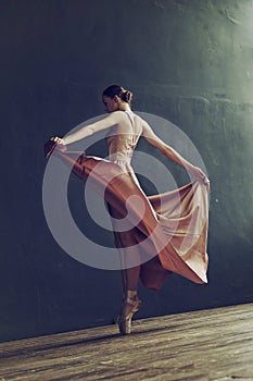 ballerina in a pink dress and punts moves around the room with a fluttering dress