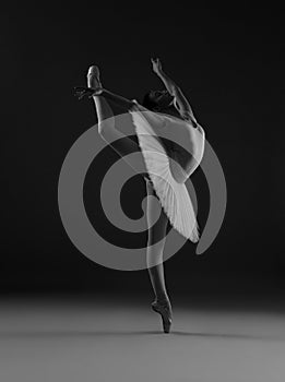 Ballerina in the pose `Swallow`
