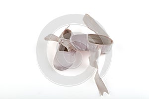 Ballerina Shoes