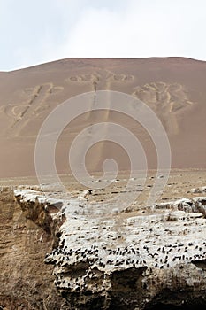 Ballestas Candelabrum Mark