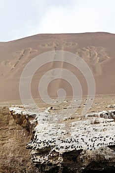 Ballestas Candelabrum Mark