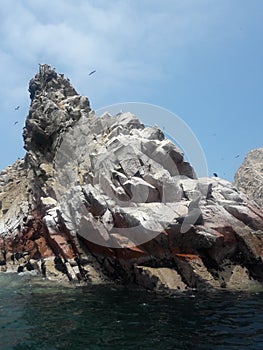 Ballestas islanda Paracas Peru sea lions pelicans penguins rock formations photo