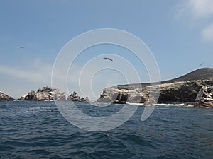 Ballestas islanda Paracas Peru sea lions pelicans penguins rock formations photo