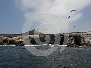 Ballestas islanda Paracas Peru sea lions pelicans penguins rock formations photo
