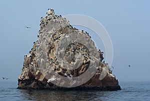 Ballestas Islands