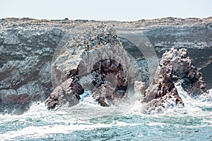 The Ballestas Islands - group of small islands near the town of Paracas in Peru