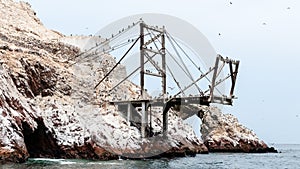 Ballestas islands - Peru