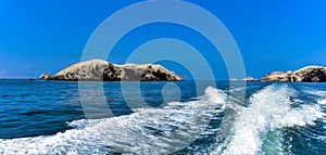 Ballestas Islands view from the Pacific Ocean 23-Peru