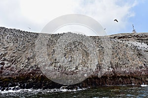 The Ballestas Islands- view of the pacific ocean 24