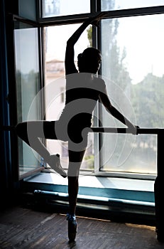 Ballet dancer exercising at the barre by the