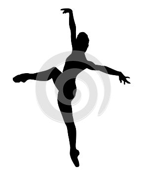 Ballet dancer jumping with tutu ballet dress, lottie. silhouette photo