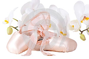 Ballet pointes with orchids on isolated white photo