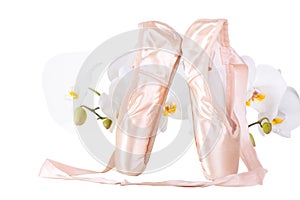 Ballet pointes with orchids on isolated white
