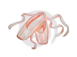 Ballet shoes. Watercolor hand painted illustration isolated on white background.