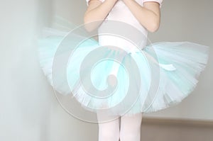 Ballet Tutu closeup photo