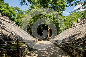 Ballgame court at Coba photo