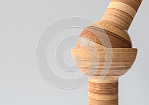 Balljoint - Joint types of bones in wood look - 3D Rendering