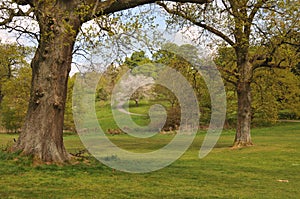 Balloch Country Park Alexandria Scotland