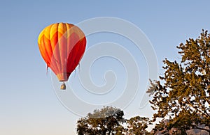 Balloon Above The Treetops