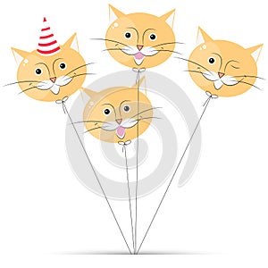 Balloon cat on white background